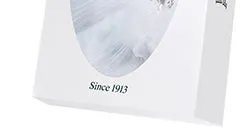 Celebrity Wedding Dress Preservation Kit